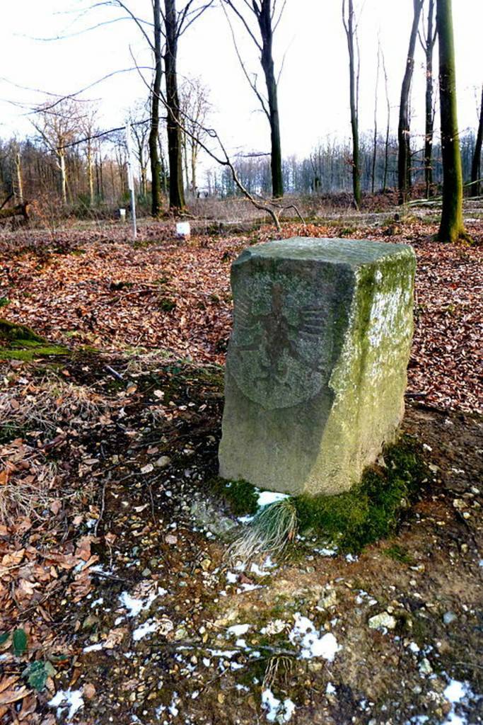 istorischer Adlerstein im Aachener Wald, Nähe Grenze Moresneter Weg